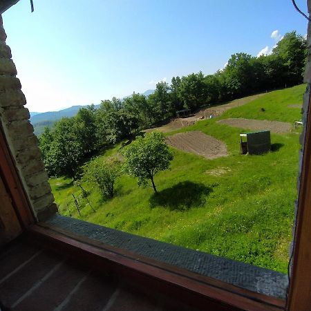 Agriturismo Paneolio Villa Collemandina Kültér fotó