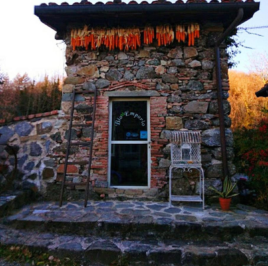 Agriturismo Paneolio Villa Collemandina Kültér fotó