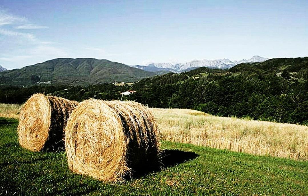 Agriturismo Paneolio Villa Collemandina Kültér fotó