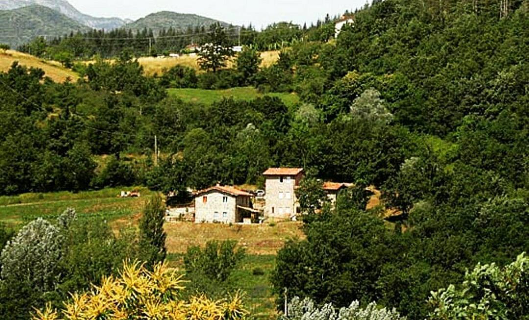 Agriturismo Paneolio Villa Collemandina Kültér fotó